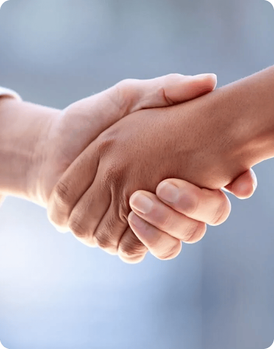 Section image Section image